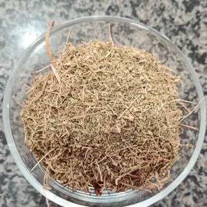 Dried Bhumi Amla Hazar Dani herb — بھومی آملہ / ہزار دانی — Awaisia Pansar