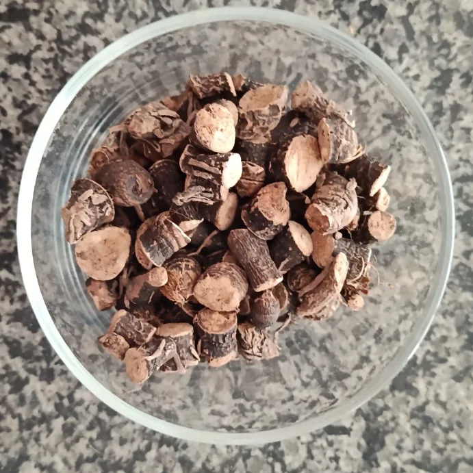 Dried Black Musli rootstock — موصلی سیاہ
