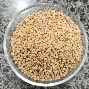 Whole coriander seeds in a glass bowl at Awaisia Pansar — ثابت دھنیا