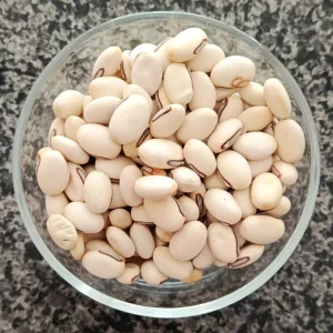 Whole velvet bean seeds (Tukhm Konch) — تخم کونچ